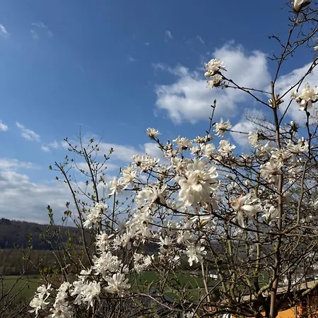 Maerchenhafte Mit Schlossblick